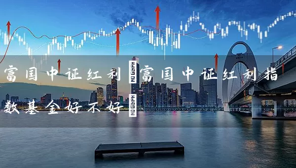 富国中证红利(富国中证红利指数基金好不好) (https://www.cnq.net/) 基金基础教程 第1张