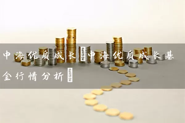 中海优质成长(中海优质成长基金行情分析) (https://www.cnq.net/) 基金基础教程 第1张