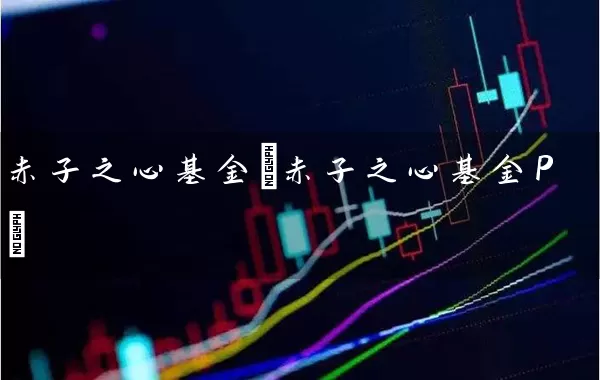 赤子之心基金(赤子之心基金P) (https://www.cnq.net/) 基金基础教程 第1张