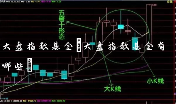 大盘指数基金(大盘指数基金有哪些) 基金基础教程 第1张-学习理财网 大盘指数基金(大盘指数基金有哪些) (https://www.cnq.net/) 基金基础教程 第1张