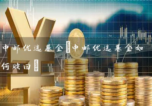 中邮优选基金(中邮优选基金如何赎回) (https://www.cnq.net/) 基金基础教程 第1张
