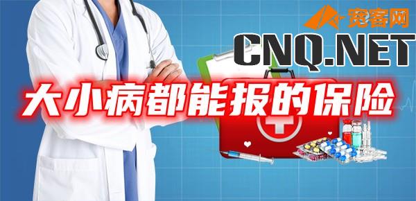 大小病都能报的保险是什么保险