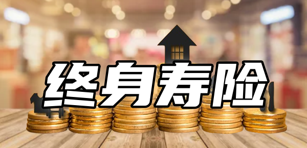 终身寿险有哪些产品？2024八款热销终身寿险介绍