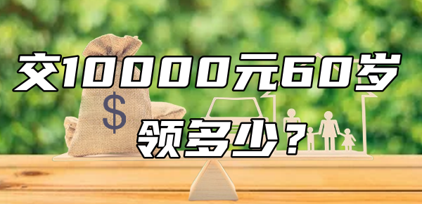 农村保险交10000元60岁领多少钱？介绍不同险种下的收益